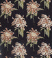 Evelyn Fabric - Black - Zoffany