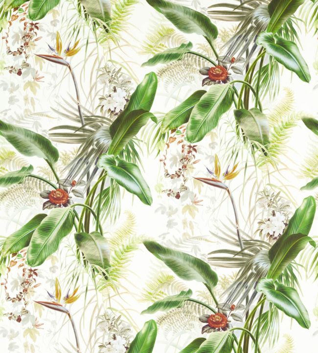 Paradise Row Fabric - Green - Zoffany