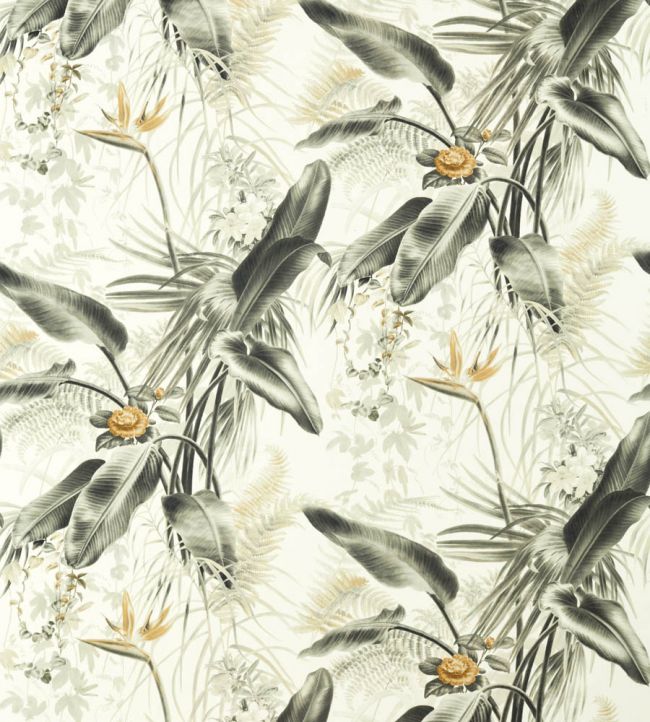 Paradise Row Fabric - Gray - Zoffany