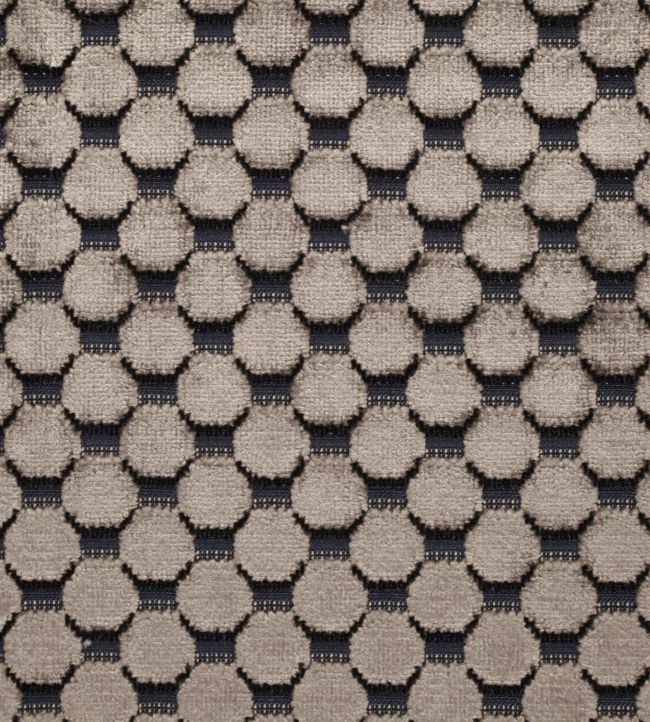 Tespi Spot Fabric - Black - Zoffany