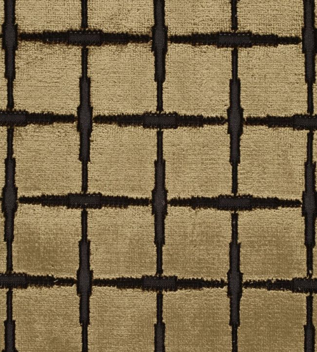 Tespi Square Fabric - Gold - Zoffany