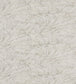 Cirrus Embroidery Fabric - White - Zoffany