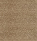 Wallis Velvet Fabric - Sand - Zoffany