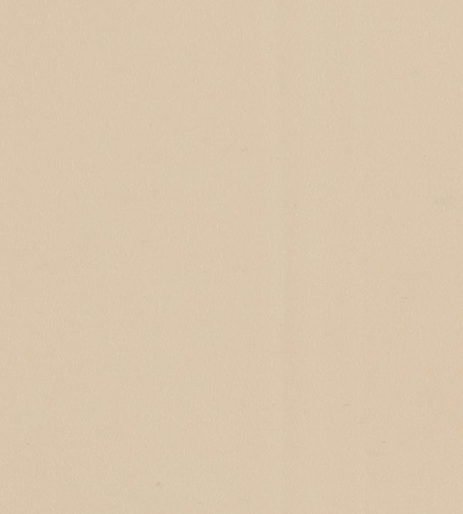 Wool Satin Fabric - Cream - Zoffany