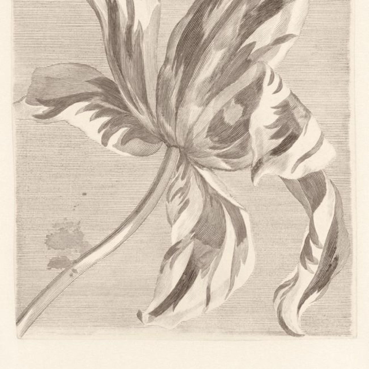 358117 - Painterly Masterpiece Mural Wallpaper - Neutral - Eijffinger