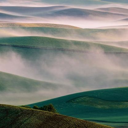 Wall-art Foggy Hills Wall Mural