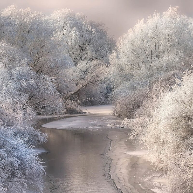 Wall-art Frozen Wall Mural