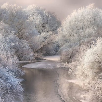 Wall-art Frozen Wall Mural