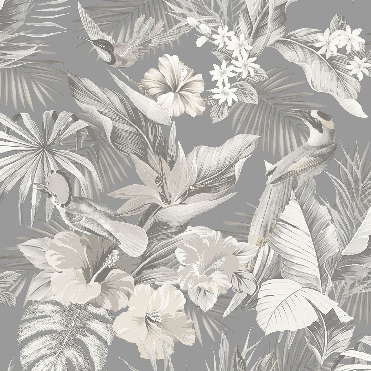 539073 - Paradise Birds Vasari Wallpaper - Grey - Rasch