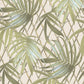 539561 - Paradise Palm Vasari Wallpaper - Green - Rasch
