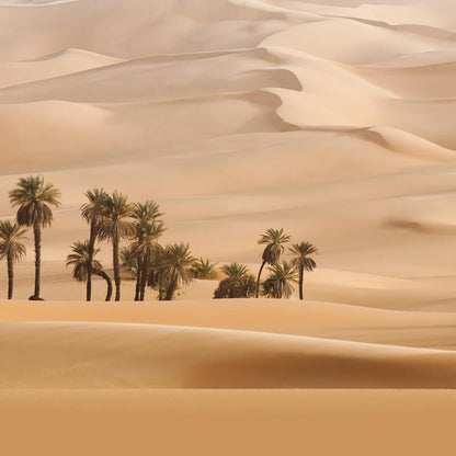 Wall-art Dune Wall Mural