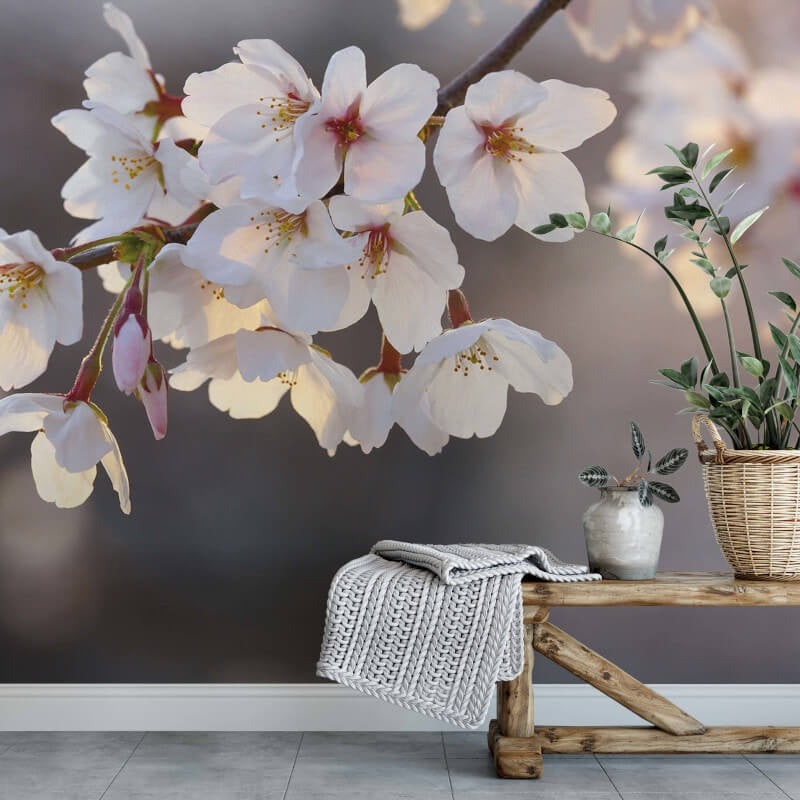 Wall-art Cherry Blossoms Wall Mural