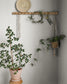 55004 - Anna Wallpaper - Warm Gray - Midbec