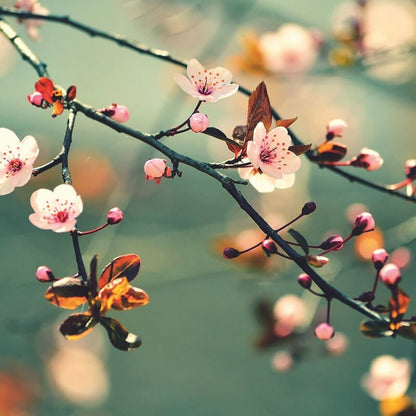 Wall-art Spring Awakening Wall Mural