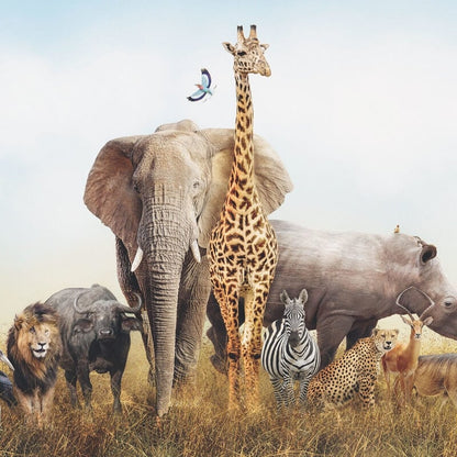 Wall-art African Elephant Wall Mural