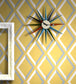 Pompeian Wallpaper - Grey & Cedar on Charcoal - 66/3019