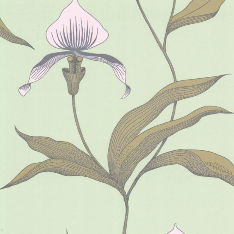 Orchid Wallpaper - Chalk & Sand on Duck Egg - 66/4028