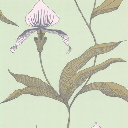 Orchid Wallpaper - Chalk & Sand on Duck Egg - 66/4028