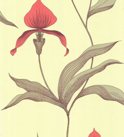 Orchid Wallpaper - Rouge & Olive Green on Soft Olive - 66/4033