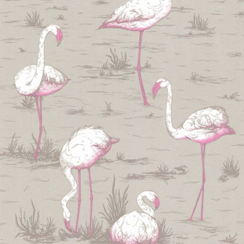 Flamingos Wallpaper - White & Fuchsia on Taupe - 66/6042