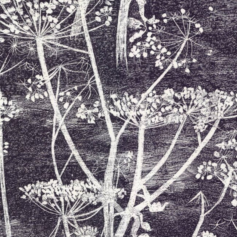Cow Parsley Wallpaper - Soot & Snow - 66/7046