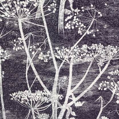 Cow Parsley Wallpaper - Soot & Snow - 66/7046