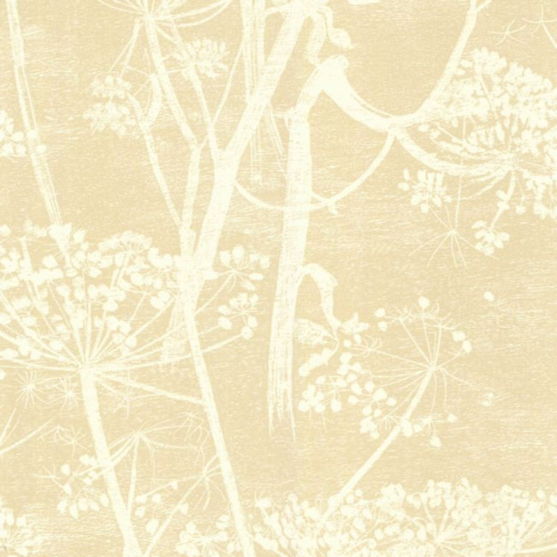 Cow Parsley Wallpaper - Cream & Oat - 66/7049