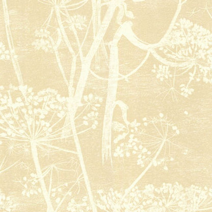 Cow Parsley Wallpaper - Cream & Oat - 66/7049
