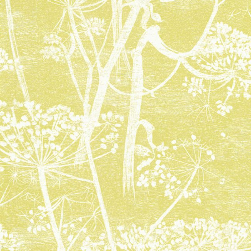 Cow Parsley Wallpaper - White & Chaurtreuse - 66/7051