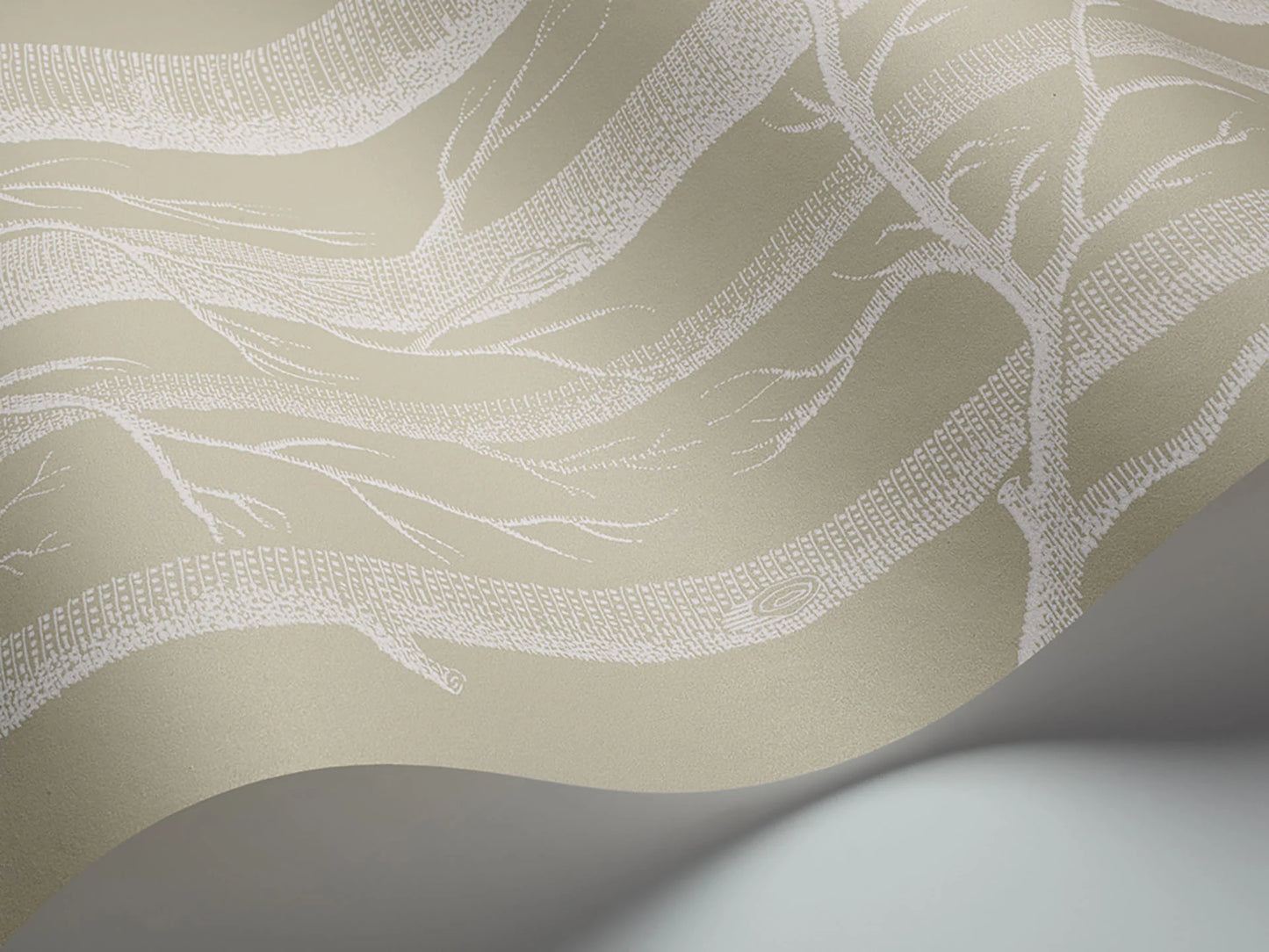 Woods Wallpaper - White on Old Olive - 69/12149