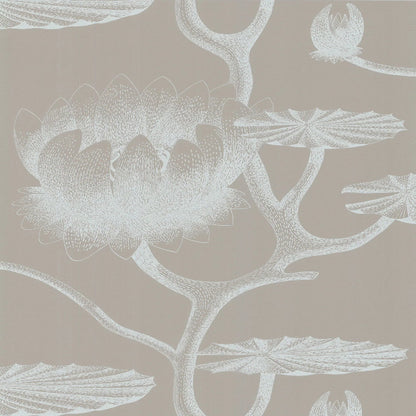 Lily Wallpaper - Chalk on Taupe - 69/3110