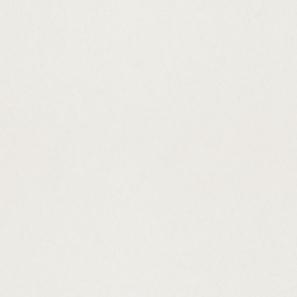 77019 - Aggskal Wallpaper - Eggshell - Midbec