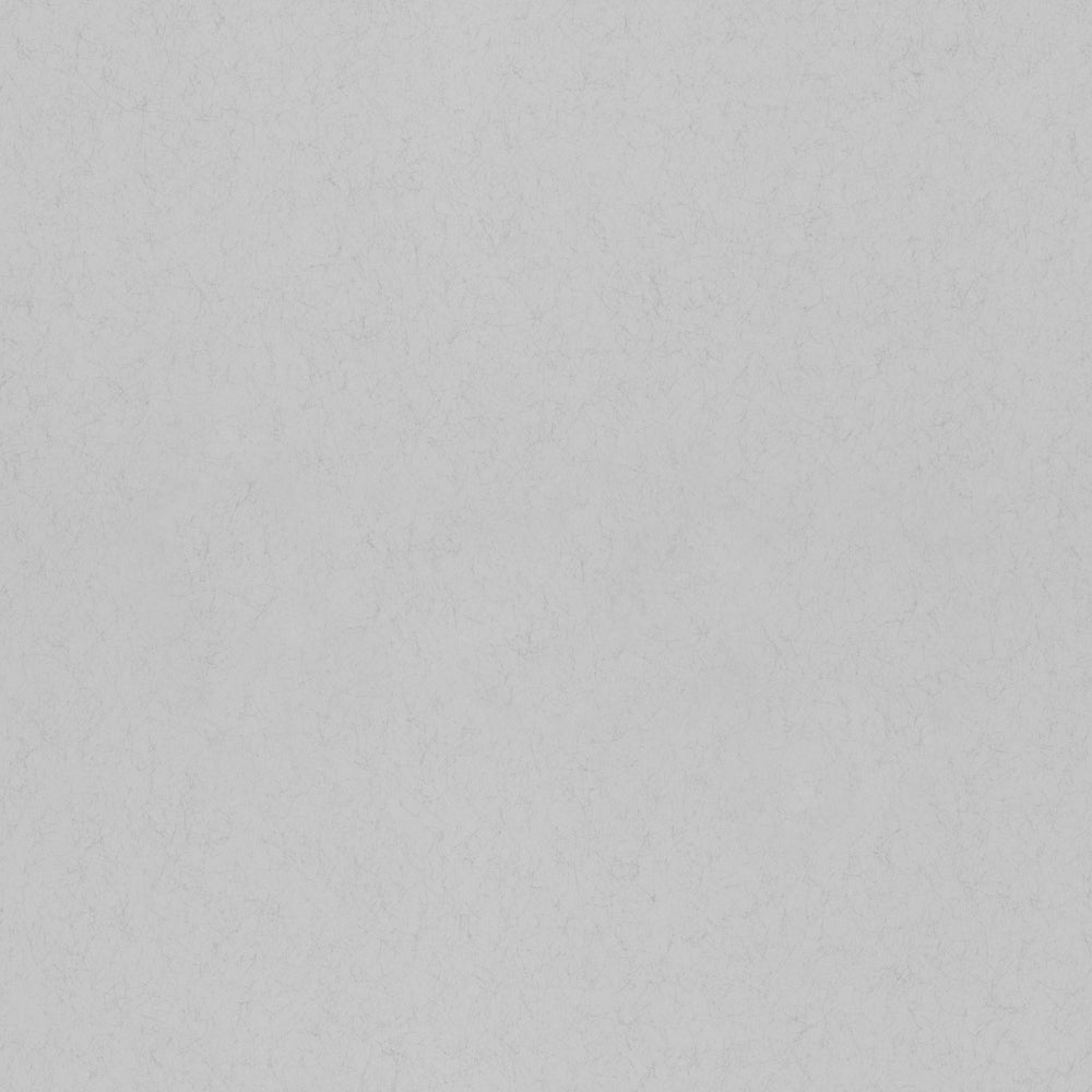 77029 - Morgondis Wallpaper - Light Gray - Midbec