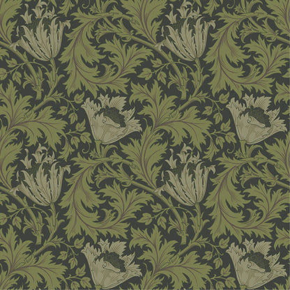 82005 - Anemone Wallpaper - Green Black - Midbec