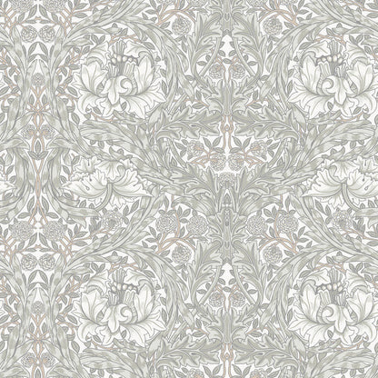 82022 - African Marigold Wallpaper - White - Midbec