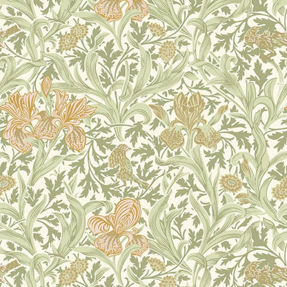 82049 - Iris Wallpaper - Soft Green  - Midbec