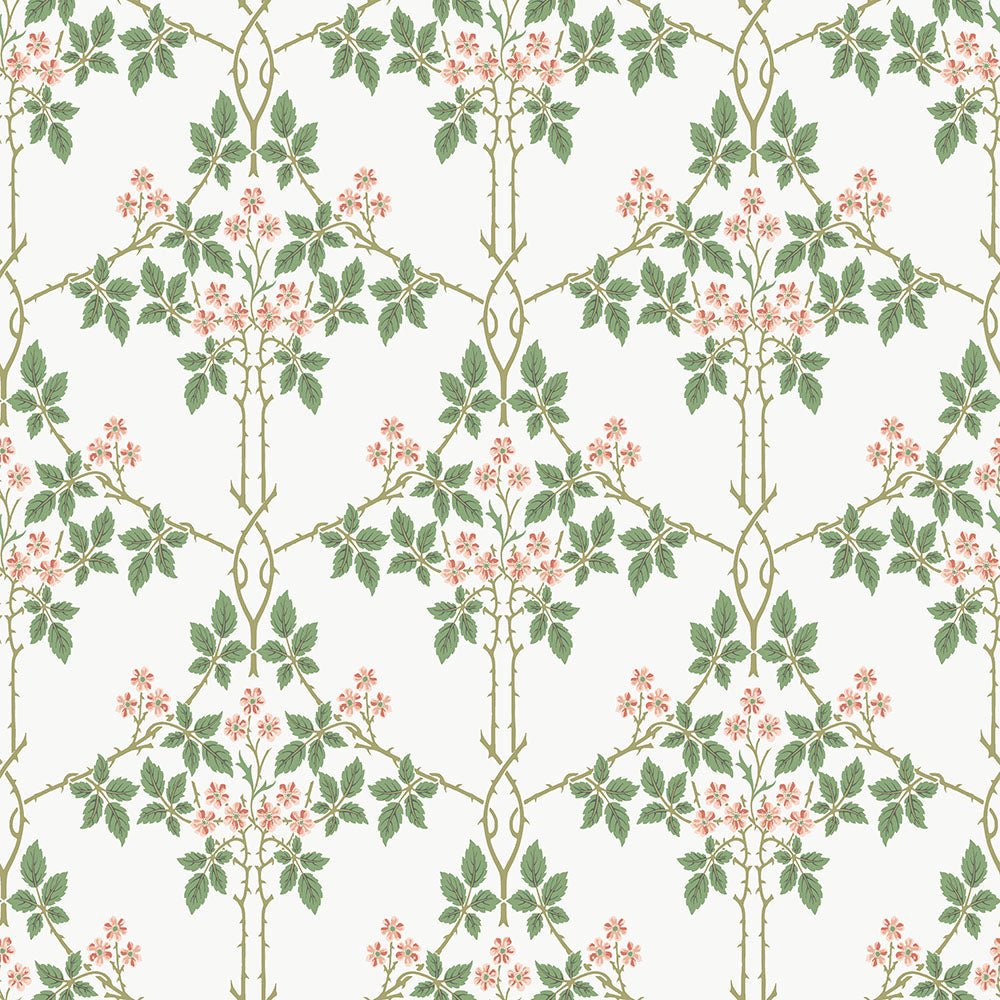 82054 - Blackberry Wallpaper - White / Red - Midbec