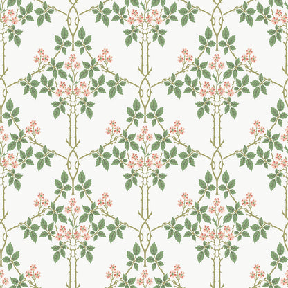 82054 - Blackberry Wallpaper - White / Red - Midbec