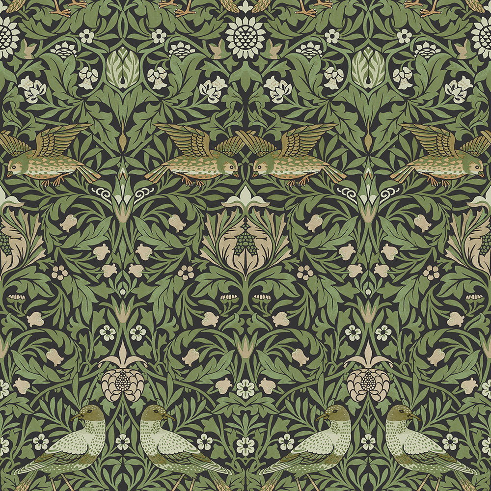 82063 - Bird Wallpaper - Black / Green - Midbec