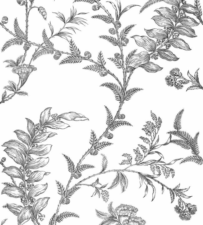 Ludlow Wallpaper - Black on White - 88/1005