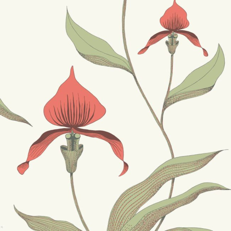 Orchid Wallpaper - Rouge & Olive on Parchment - 95/10054