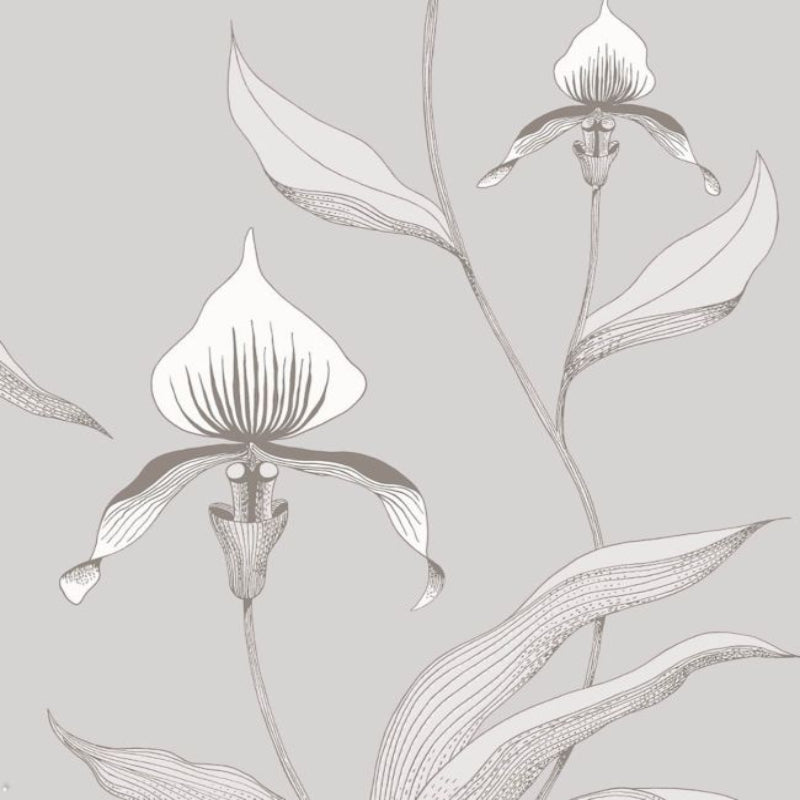 Orchid Wallpaper - White & Shell on Dove - 95/10055