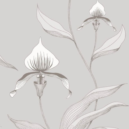 Orchid Wallpaper - White & Shell on Dove - 95/10055