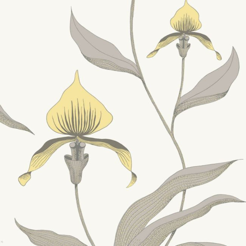 Orchid Wallpaper - Lemon & Heath Grey on Chalk - 95/10057