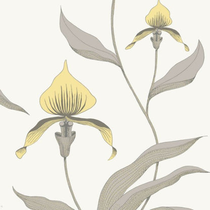 Orchid Wallpaper - Lemon & Heath Grey on Chalk - 95/10057