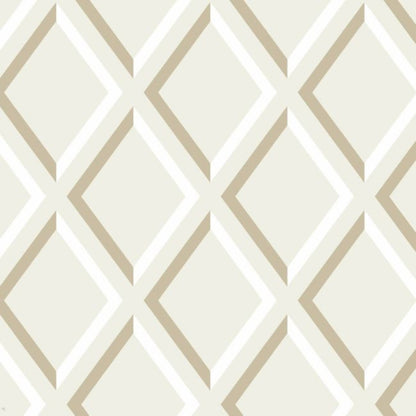Pompeian Wallpaper - Gilver & White on Stone - 95/11059