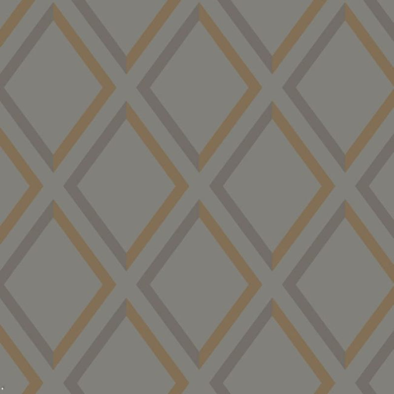 Pompeian Wallpaper - Dark Pewter & Bronze on Soot - 95/11062