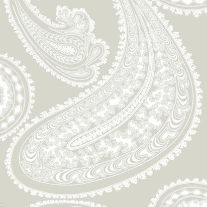 Rajapur Wallpaper - Chalk on Taupe - 95/2011