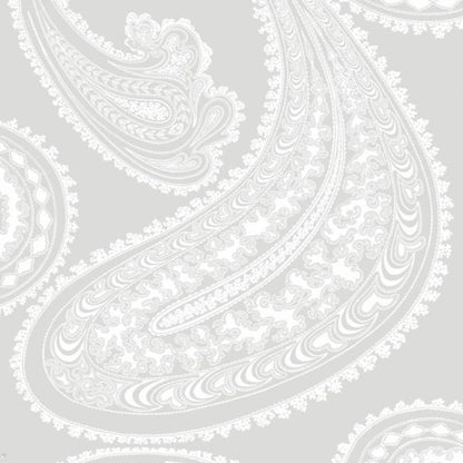 Rajapur Wallpaper - Chalk on Heath Grey - 95/2012