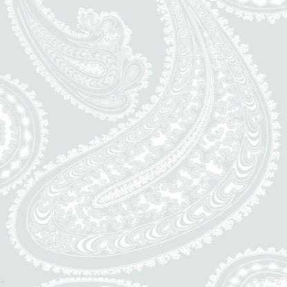 Rajapur Wallpaper - Chalk on Powder Blue - 95/2013